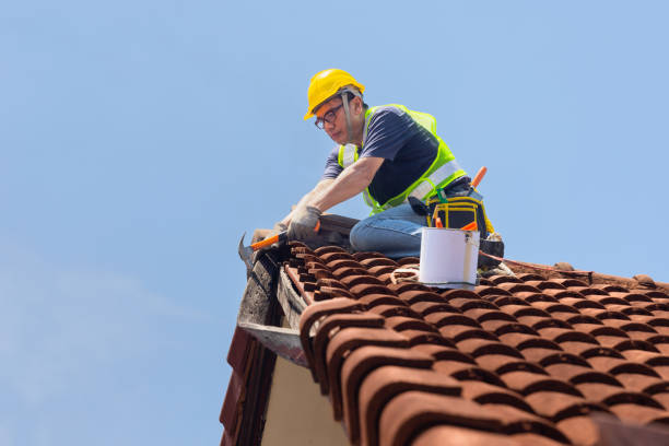 Best Roof Restoration  in USA